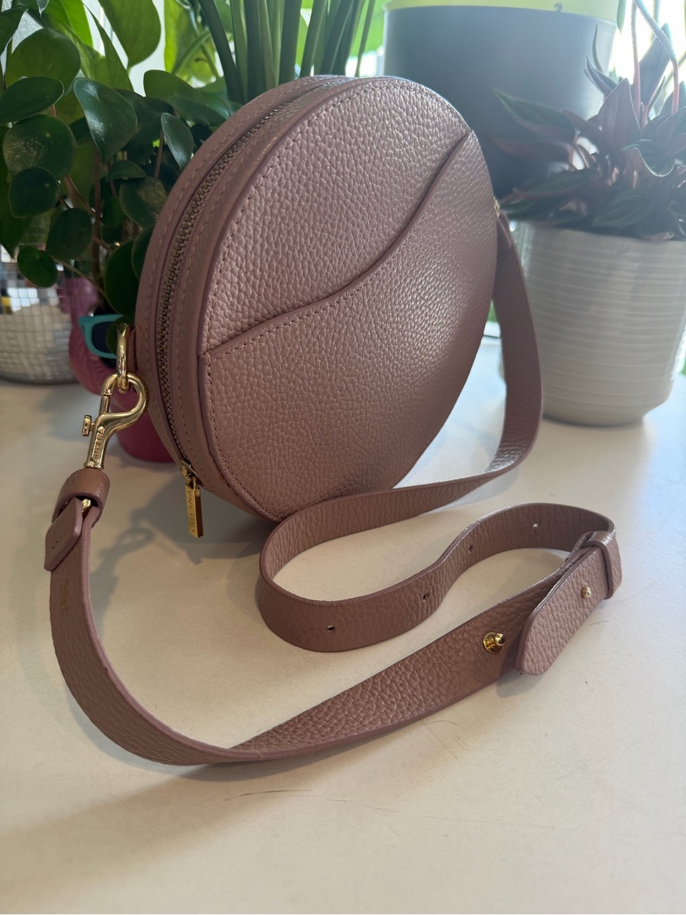 Cuyana circle Crossbody Bag in Mauve Pink